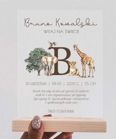 Statuetka z okazji narodzin METRYCZKA – Safari
